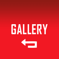 Back to Gallery